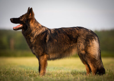 Sable charbonné